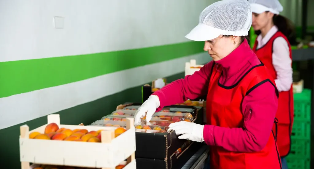 Food Processing Business