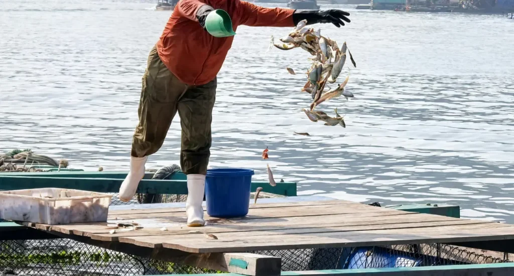 How to Start a Fish Farming Business